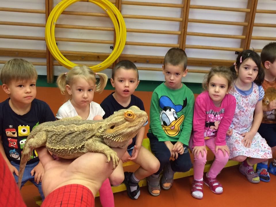 Gyerekek a padon ülve kisállatot néznek