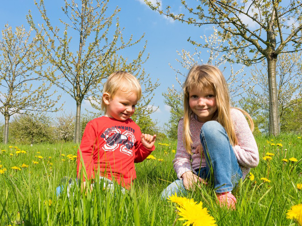 Két kisgyermek a földön guggol a fűben, virágok között